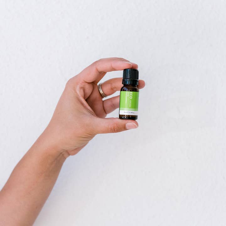 ECO. Modern Essentials - Wholesale Essential oil - Lime Pure Essential Oil2