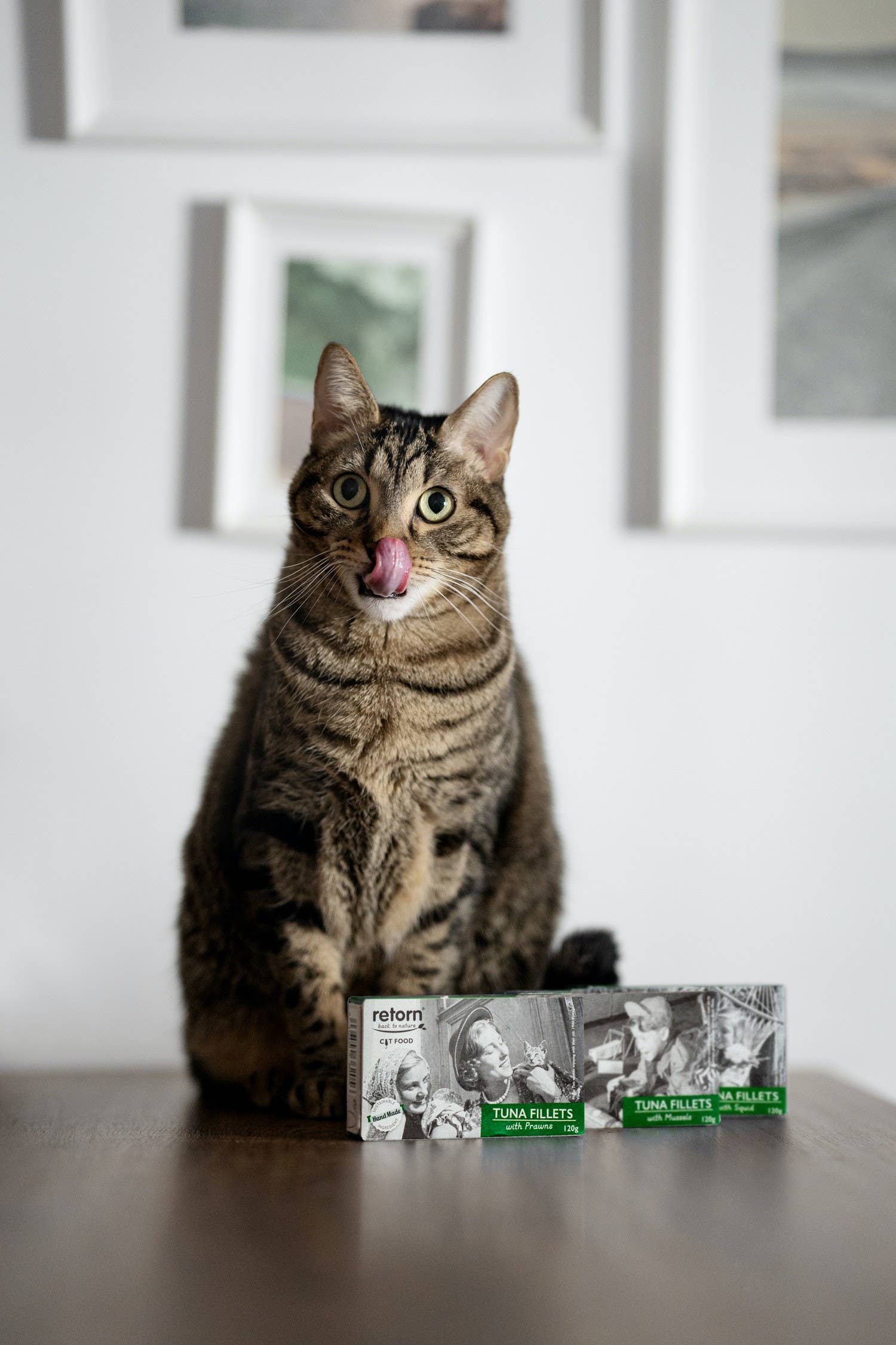 POCURULL SL (Retorn) - Venta al por mayor Comida - Gatos - Filetes De Atún Con Mejillones Para Gatos De Retorn2