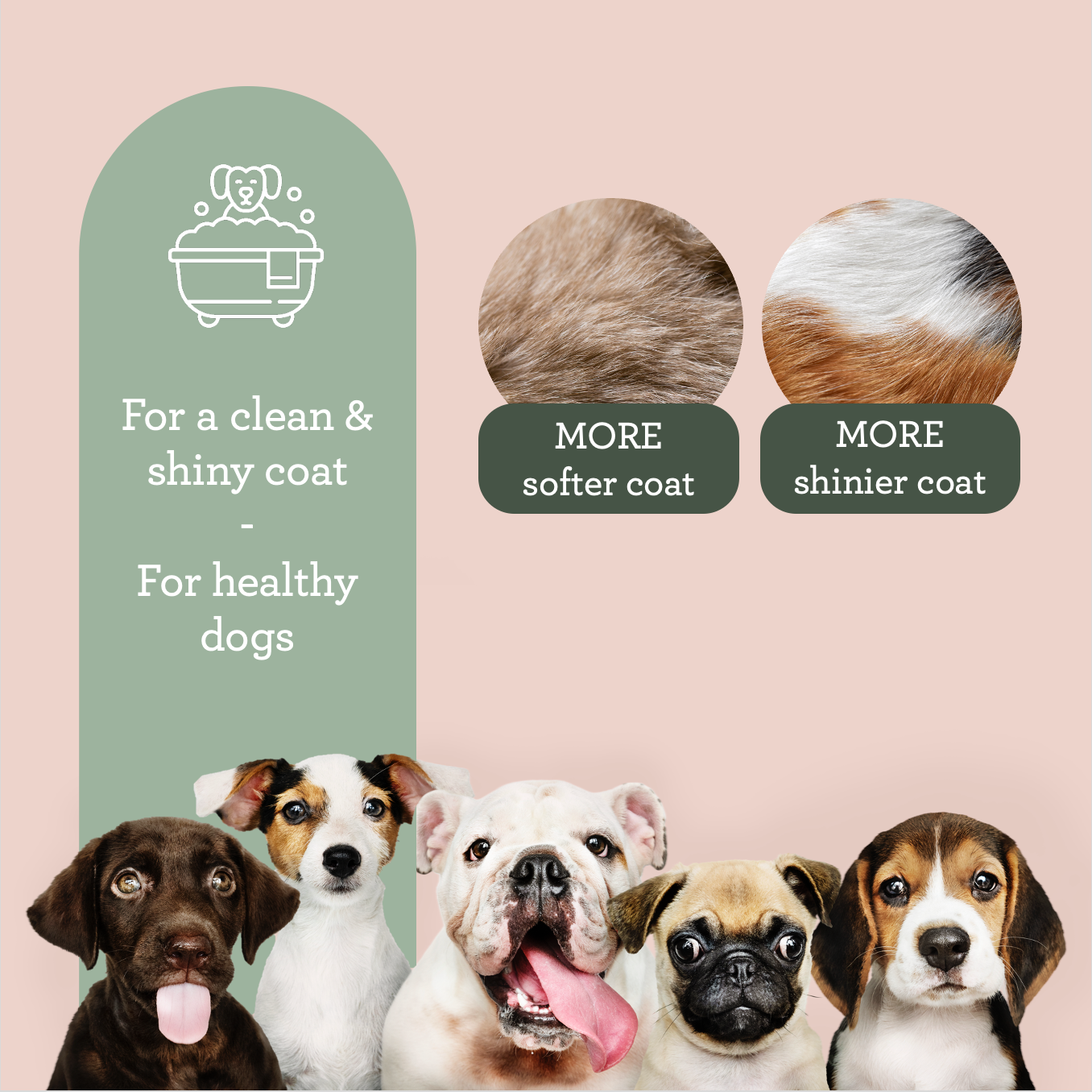 Generosa - Wholesale Pet Shampoo - Dog - Generosa Dog’s Bath – Olive & Shea Liquid Soap 200 ml4