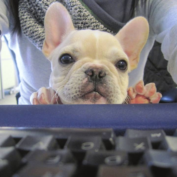 Io...Sono...Hellacute per la vendita all'ingrosso da parte di Retrospect Greeting Cards