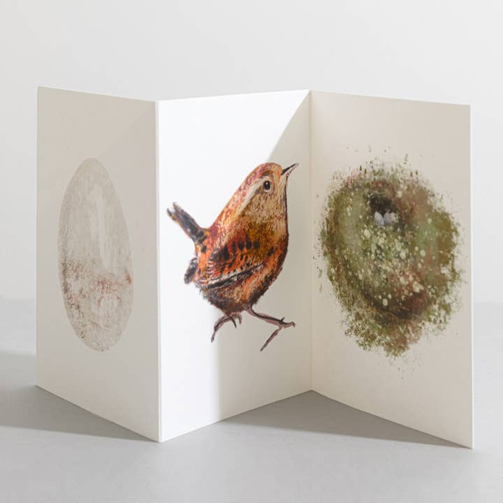Carte concertina Wren Bird Nature Lover pour la vente par Sara Sayer