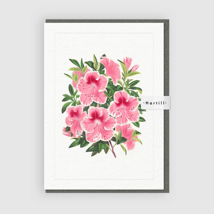 Konstgratulationskort Azalea Indica Flower av Louis Van Houtte för wholesale av Hartill