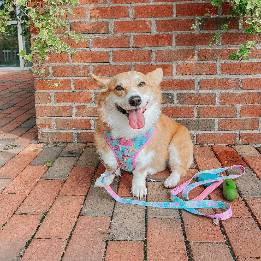 SASSY WOOF - Wholesale Pet Leash - Dog - Dog Leash - Polly Pocket™10