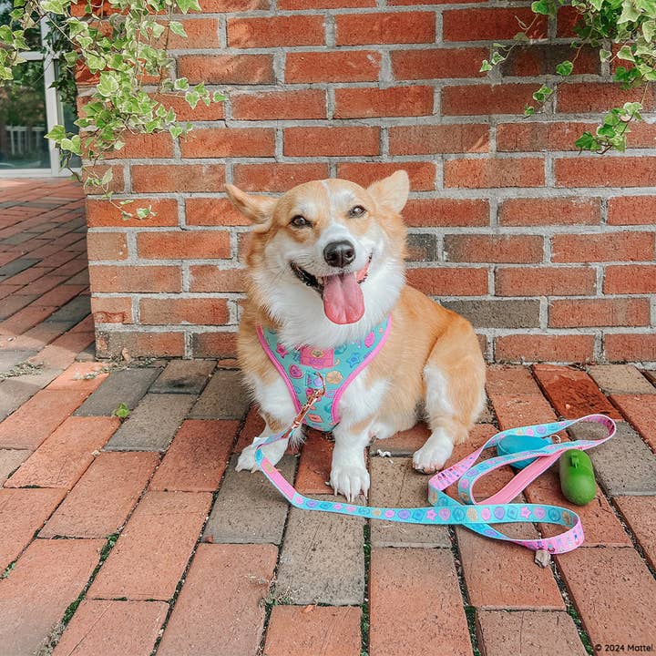 SASSY WOOF - Wholesale Pet Leash - Dog - Dog Leash - Polly Pocket™10