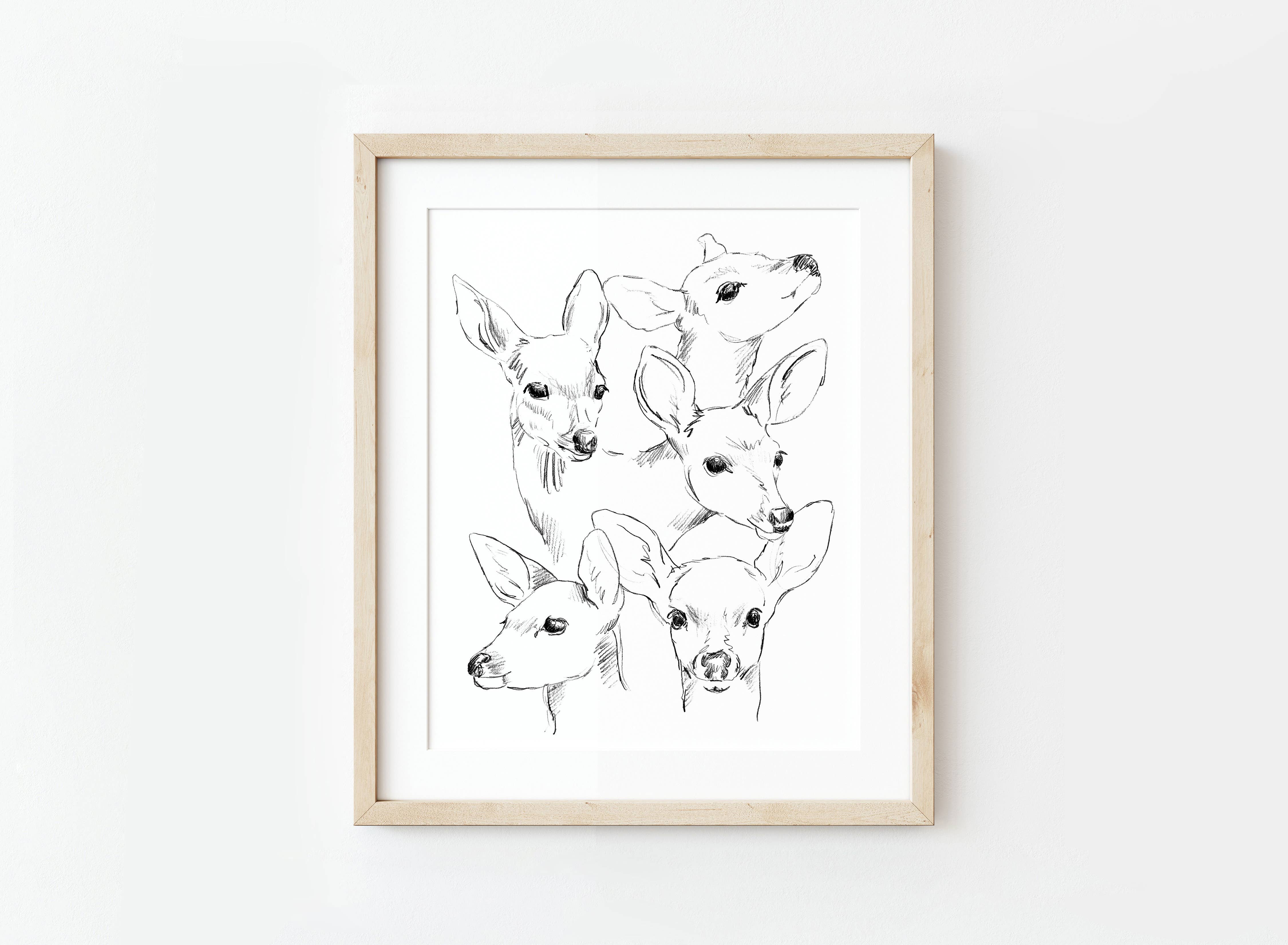 NorthHouse Creative Co. - Wholesale Art Print - Fawn Illustration Sketch Art Print