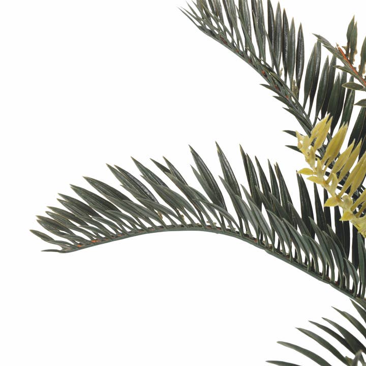VdE Tivoli 1996 - Wholesale Artificial Plant - CYCAS PLANT H. 40CM1