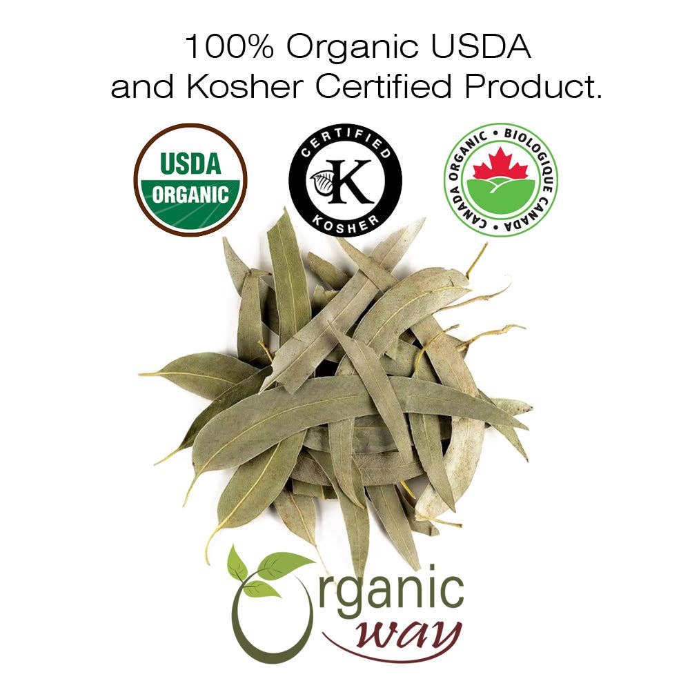 Organic Way LLC – wholesale Löst te – Eukalyptusblad Hela (Eucalyptus globulus) - Örtte | Europeisk vildskörd | Kosher & USDA-certifierad | Vegansk, icke-GMO & glutenfri | 100% rå från Albanien2