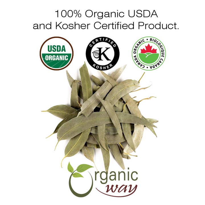 Organic Way LLC - Wholesale Loose tea - Eucalyptus Leaf Whole (Eucalyptus globulus) - Herbal Tea | European Wild-Harvest | Kosher & USDA Certified | Vegan, Non-GMO & Gluten Free | 100% Raw from Albania2