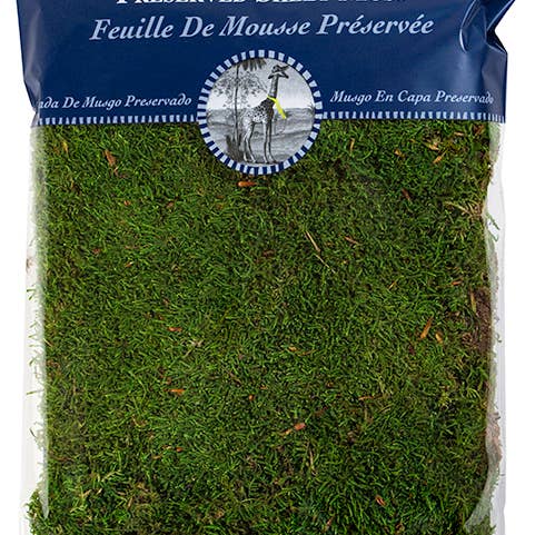SuperMoss – wholesale Planting/potting soil – Preserved Sheet Moss