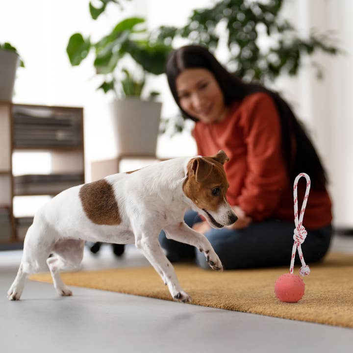 Dogline - Wholesale Pet Fetch Ball - Dog - FDT Solid Rubber Dog Ball - Water Toy with Rope