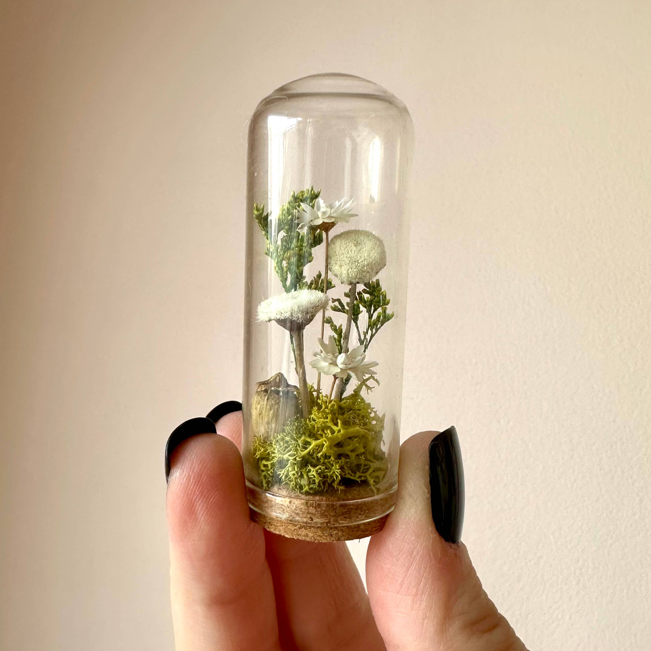 CA Studios - Wholesale Terrarium - Flower Forest Mini Glass Cloche Terrarium w. Dried Florals1