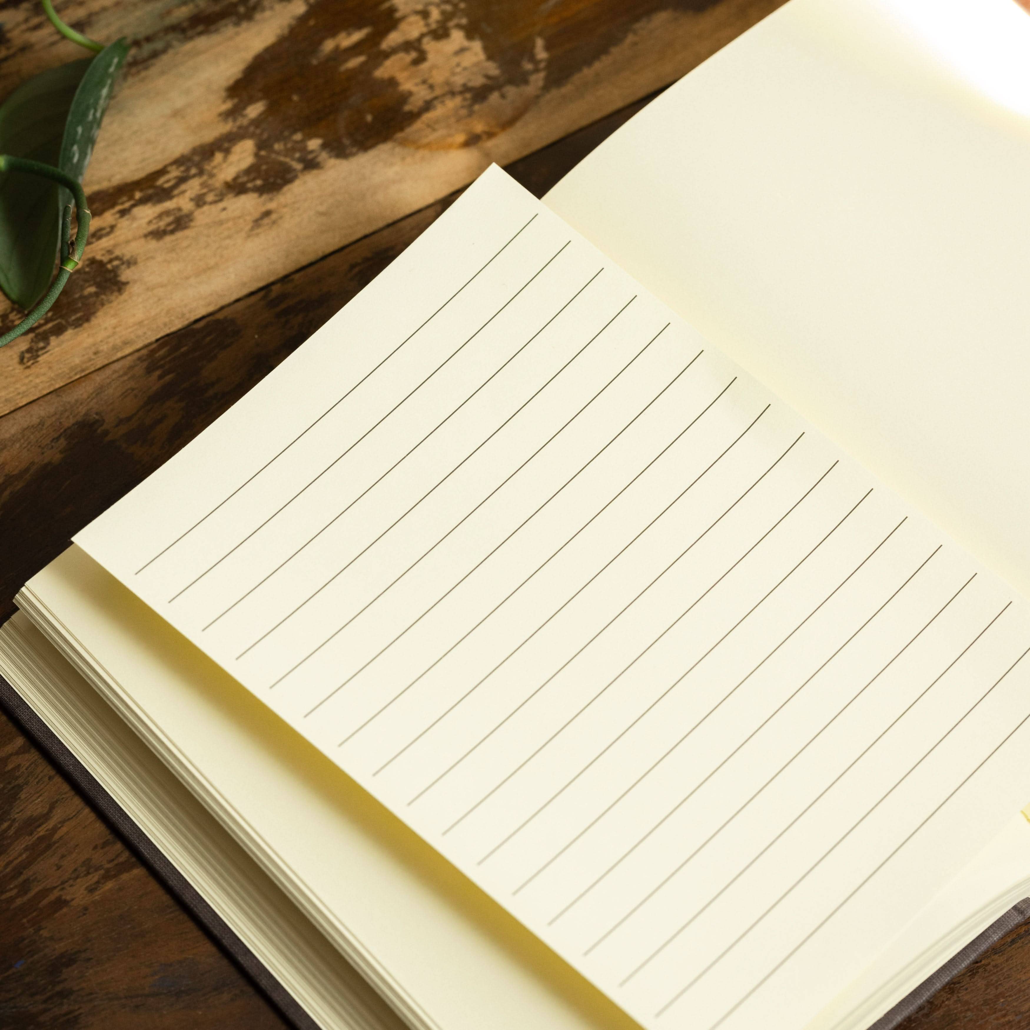 Novel Book Store - Vente Journal intime - Le Conte de Pierre Lapin de Beatrix Potter 1902 - Carnet de notes7