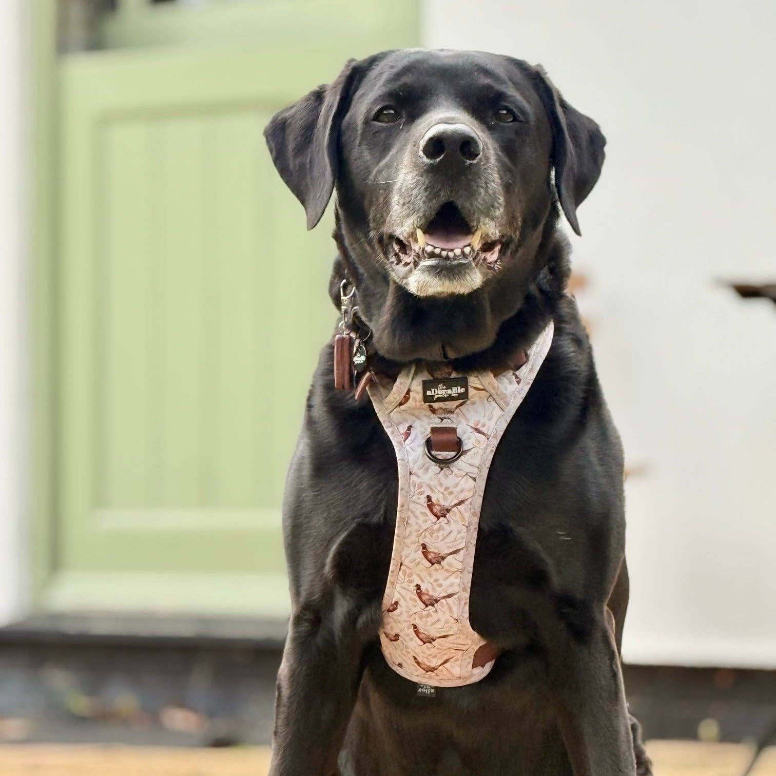 The aDoraBle Pooch Company - Wholesale Tuig voor huisdieren - Hond - Hike & Go™ Harnas - Farmland Fazant14