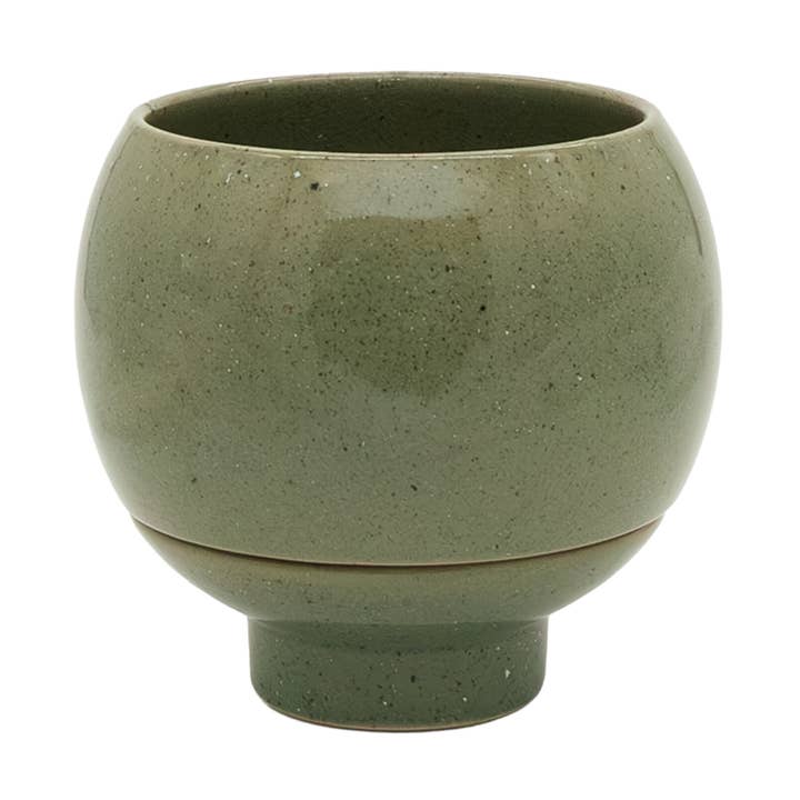 Small Otis Self Watering Planter Agave for wholesale by Potted