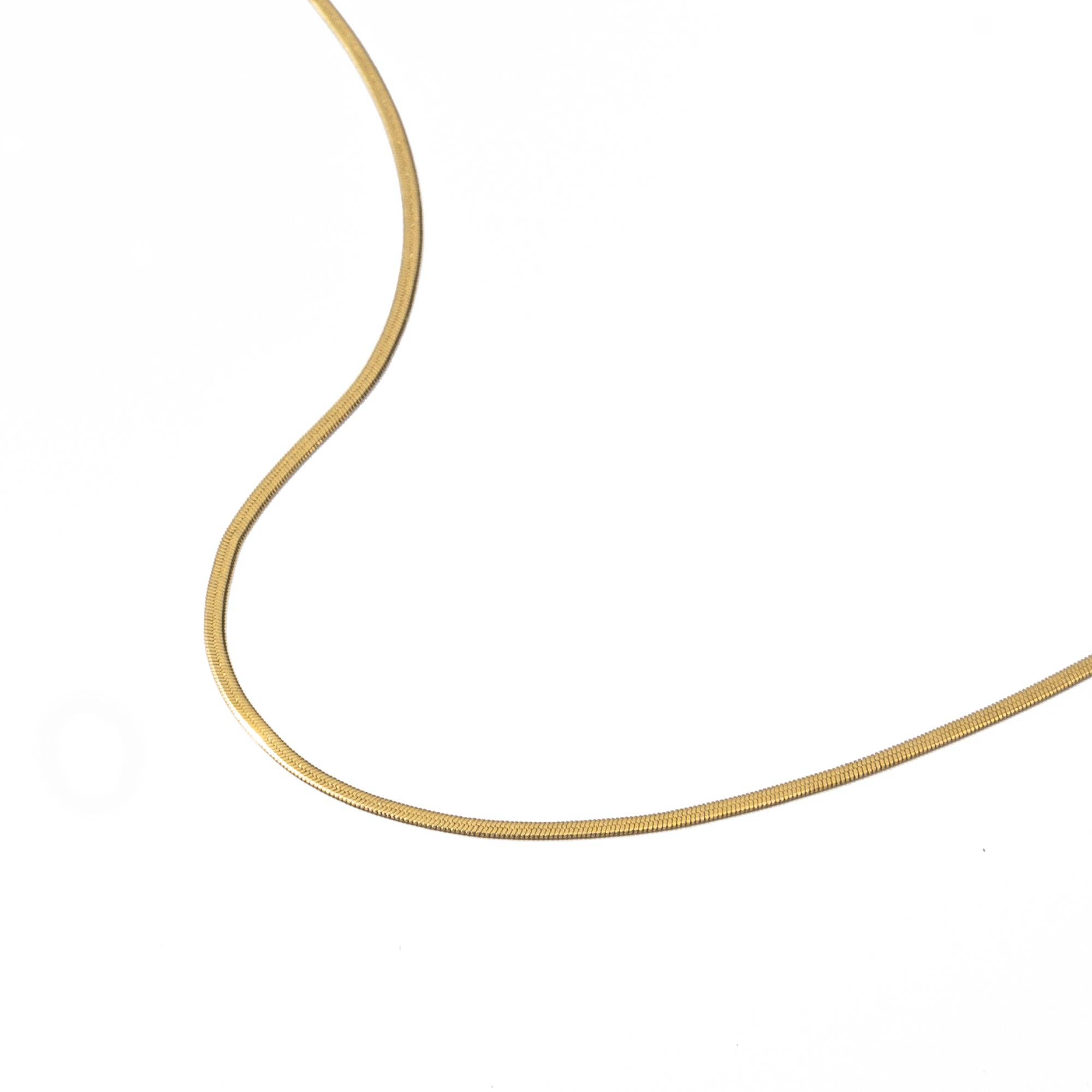 Brenda Grands Jewelry - Wholesale Link & Chain Necklace - Waterproof Gold Micro Herringbone Necklace4