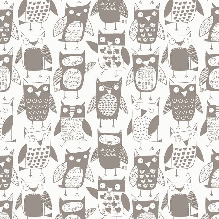 Owls for wholesale by loboloup