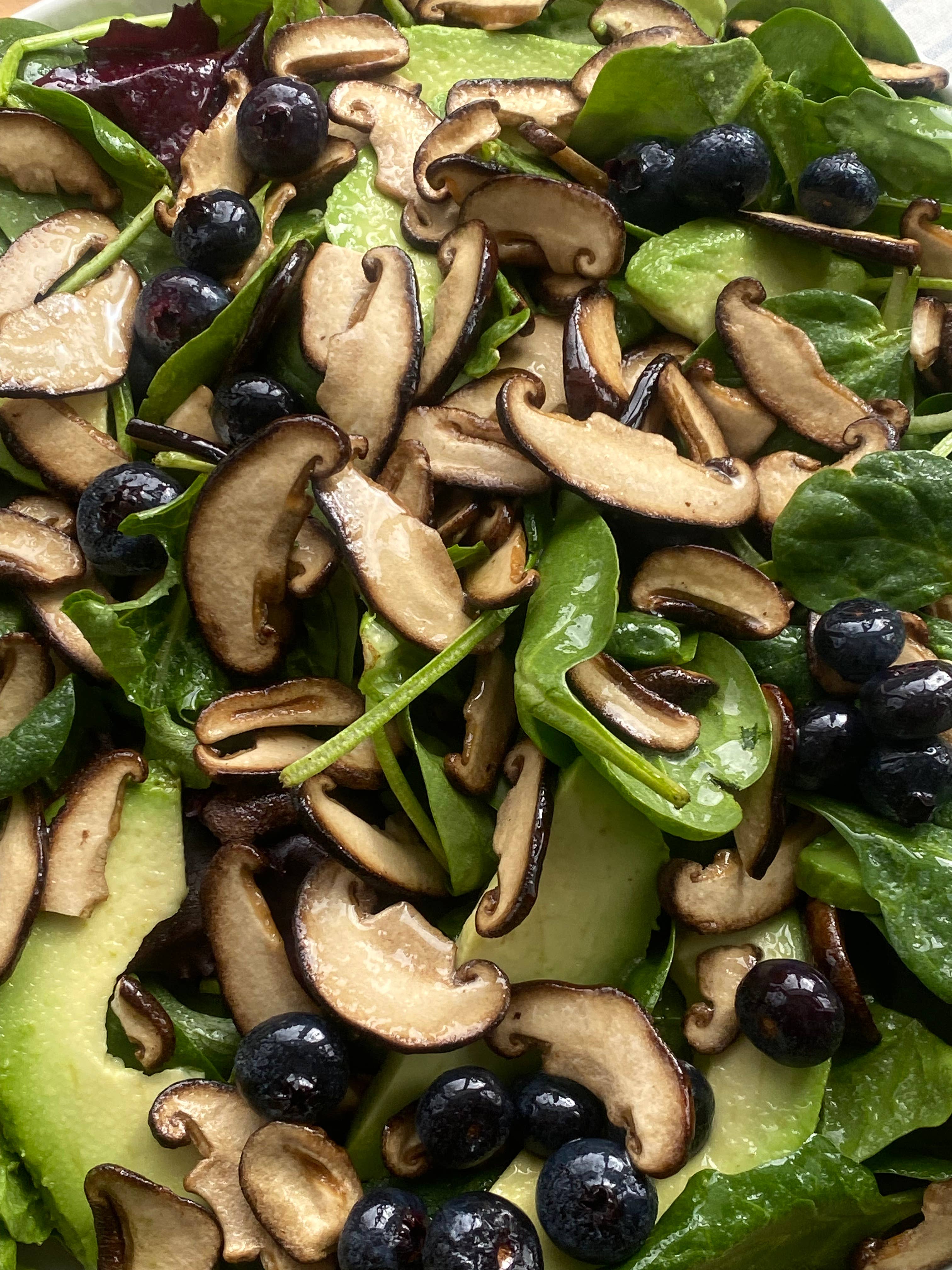 TerraLand - Wholesale Chips - Terraland Shiitake Chips (Original) 8*2.12oz (60g)4