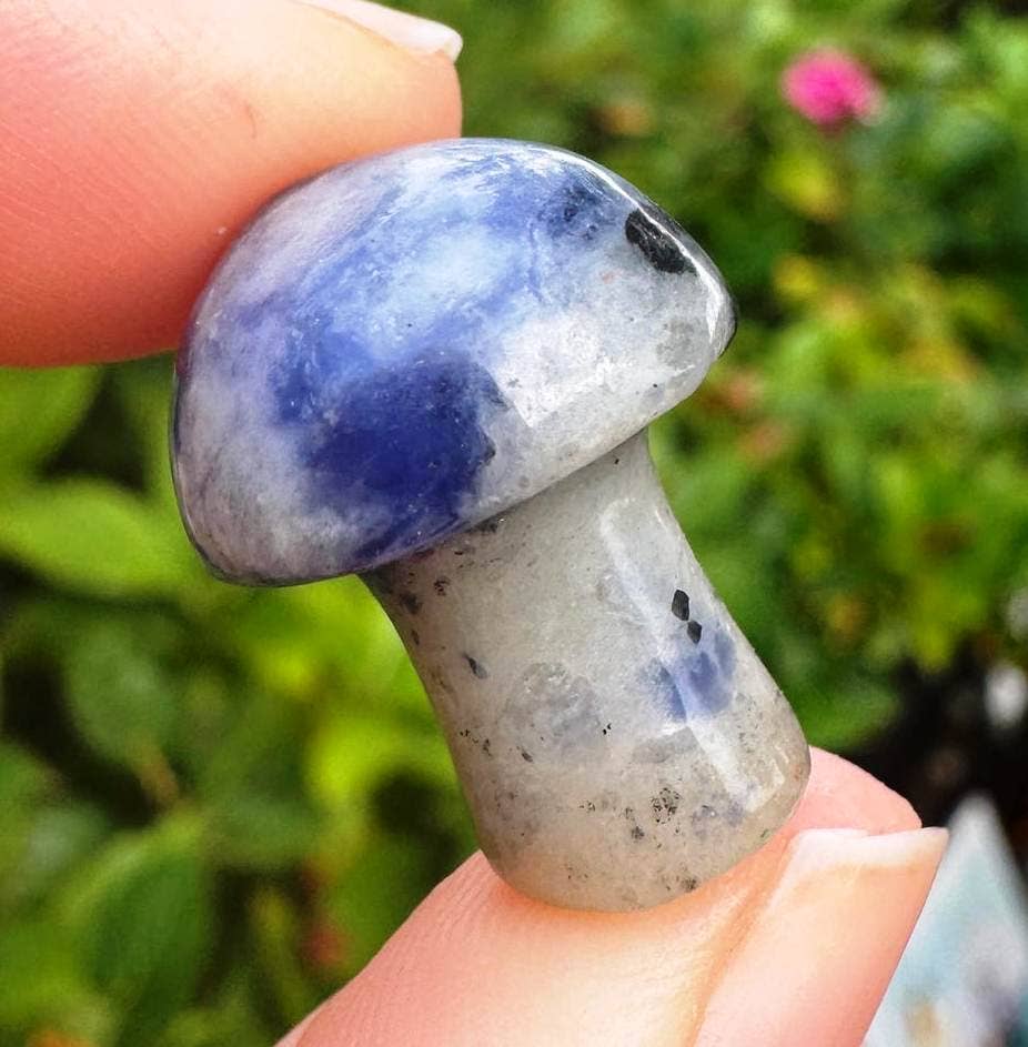 Elf Kendal Hippies - Vente Pierre et cristal de spiritualité - champignon pierre précieuse 2cm cristal de champignon prix par pierre Royaume-Uni13