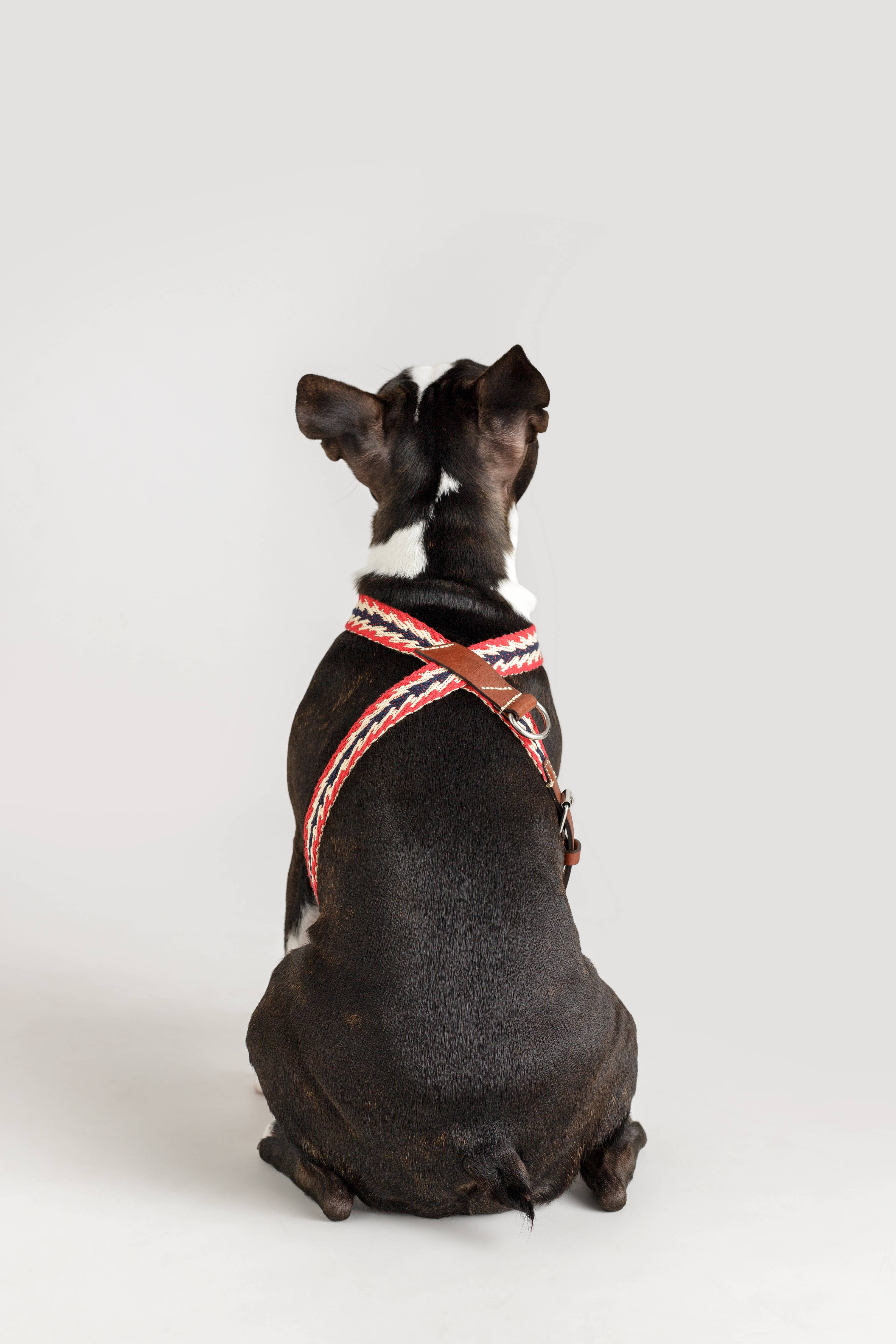 Buddys dogwear - Vendita all'ingrosso Pettorina - Cani - Pettorina regolabile per cani con motivo freccia peruviana rossa2