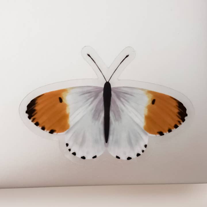Clear Orange Tip Butterfly Sticker for wholesale by Something Nice for Her
