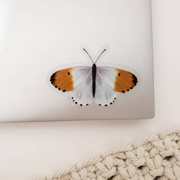 Clear Orange Tip Butterfly Sticker for wholesale by Something Nice for Her
