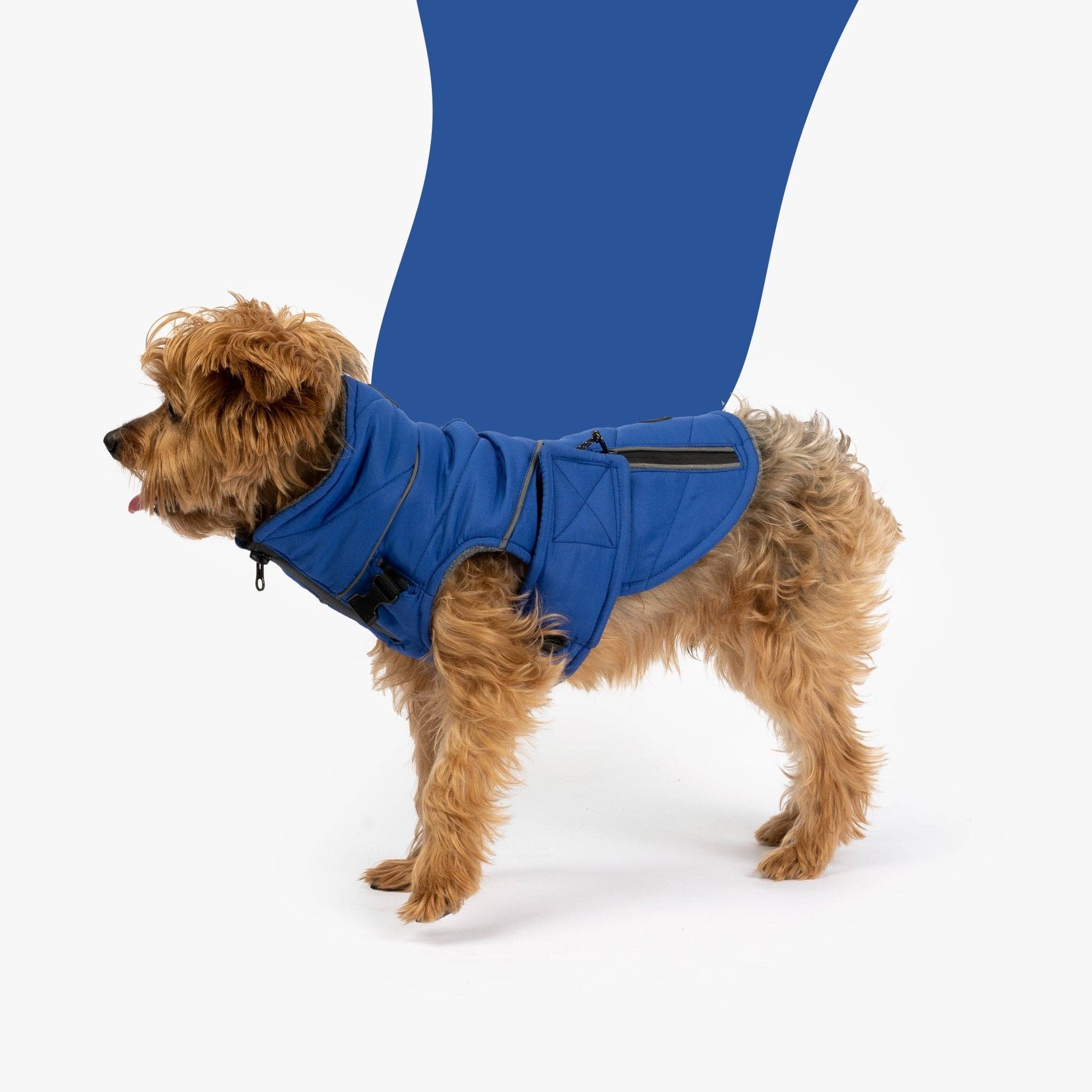 Silver Paw - Wholesale Pet Jacket - Dog - Monty Dog Jacket  Water-Resistant Jacket with Harness Attachment & Reflective Piping0