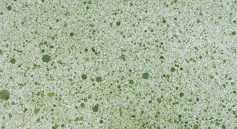 Ecstasy Crafts Distributing - Wholesale Craft Supplies - Cosmic Shimmer Airless Mister24