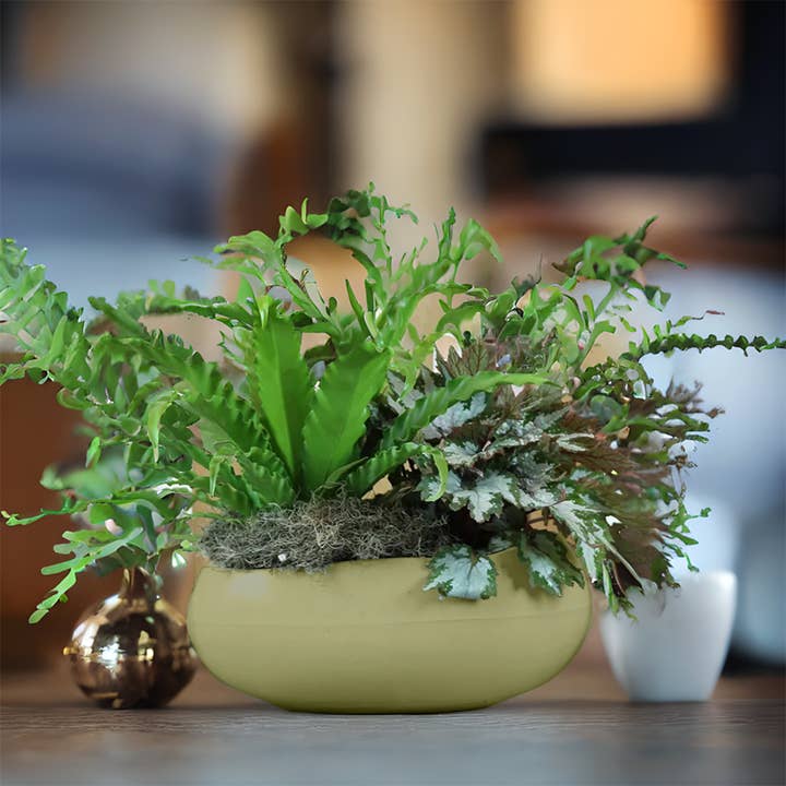 Ecobo - Wholesale Plant Pot - Rochas Pot Planter31