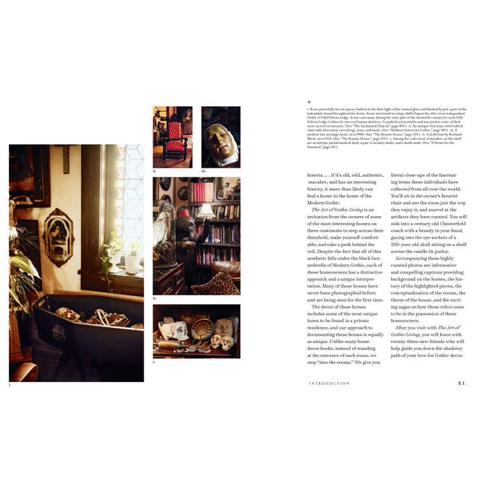 Hachette Book Group - Wholesale Home & Garden - The Art of Gothic Living: Dark Decor for the Modern Macabre2