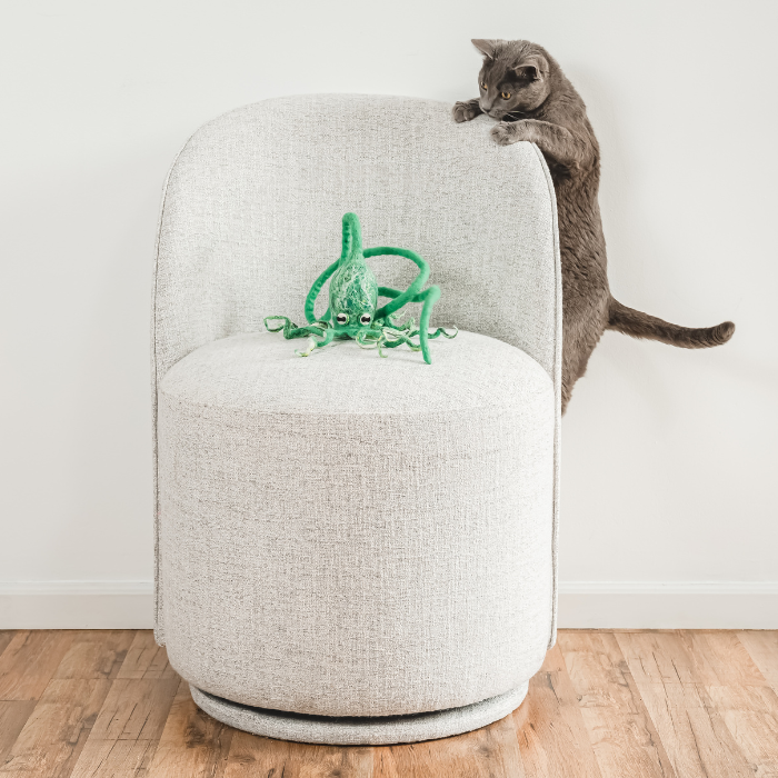Cat in the Box LLC - Vente Jouet – chat - Jouet pieuvre en laine avec corde de 1,2 m - bleu, vert11