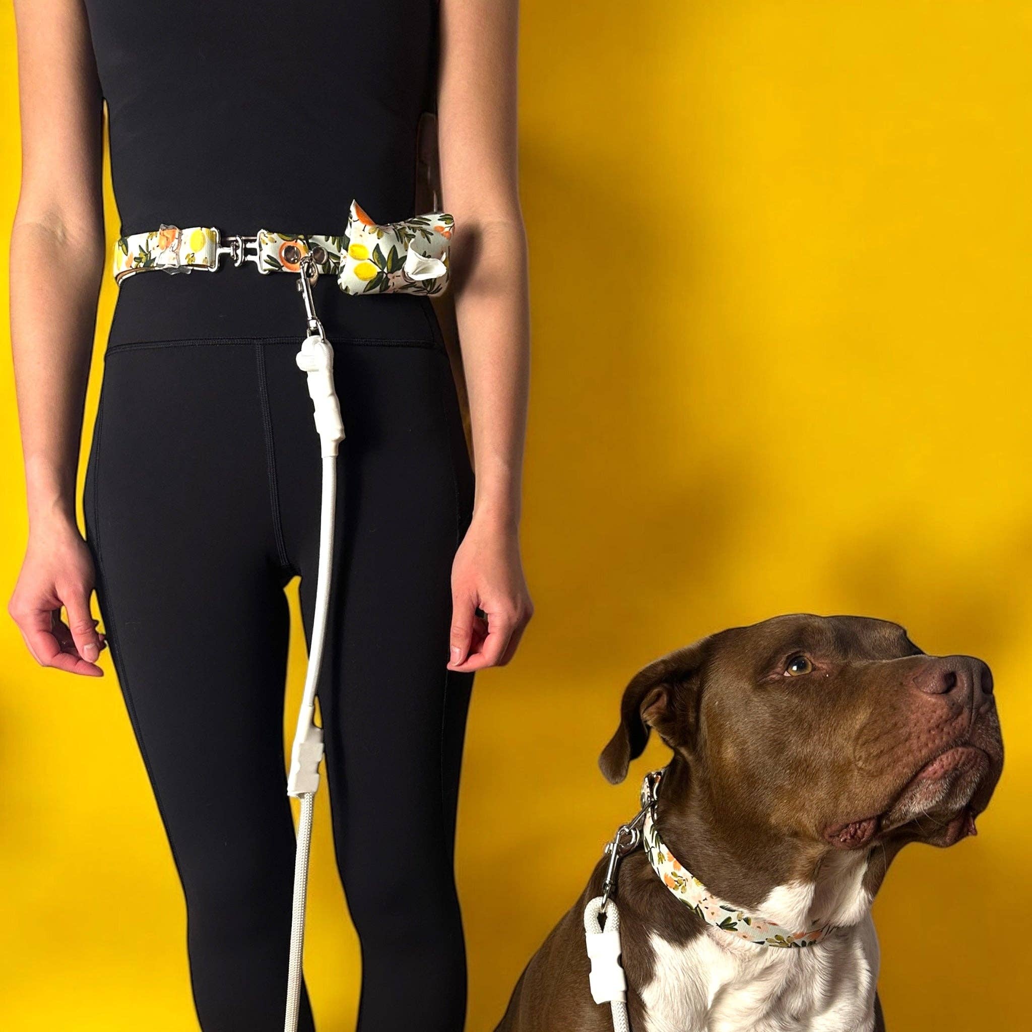 HÜND HAUS - Vente Laisse – chien - Ceinture laisse mains libres pour chien avec corde et porte-sac à déchets5