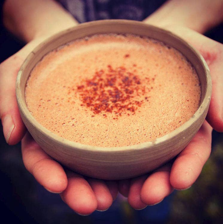 Medicinal Foods, LLC - Vente Préparations/kits pour chocolat chaud - Chocolat chaud sain pour améliorer l'humeur avec élixir de cacao Bev. Mélange3