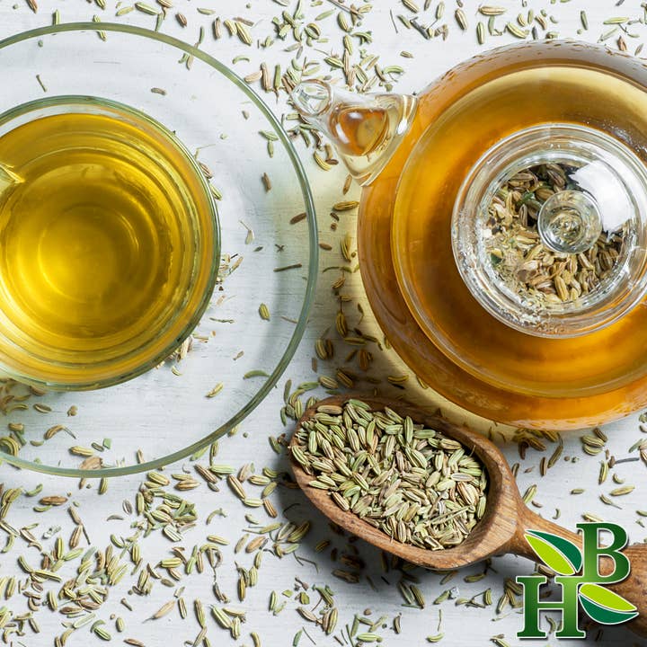 Herb To Body – wholesale Herbs – Fennel Seed Whole