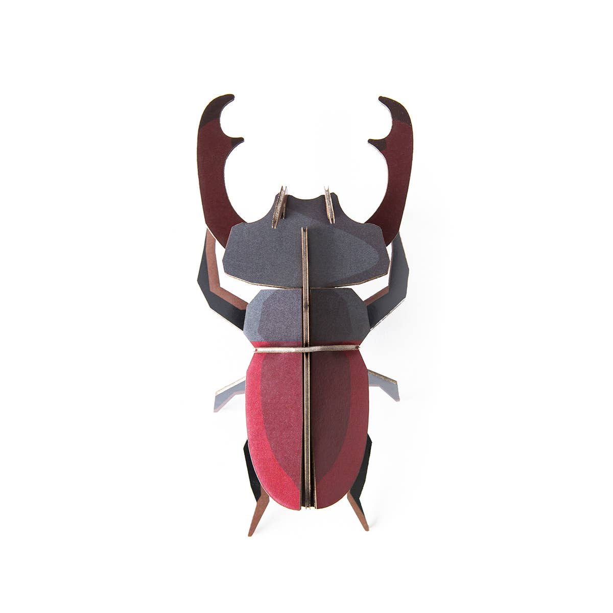 Until Pty Ltd - Wholesale Wall Accent - Studio Roof Wall Art Beetles (B7) Stag Beetle0
