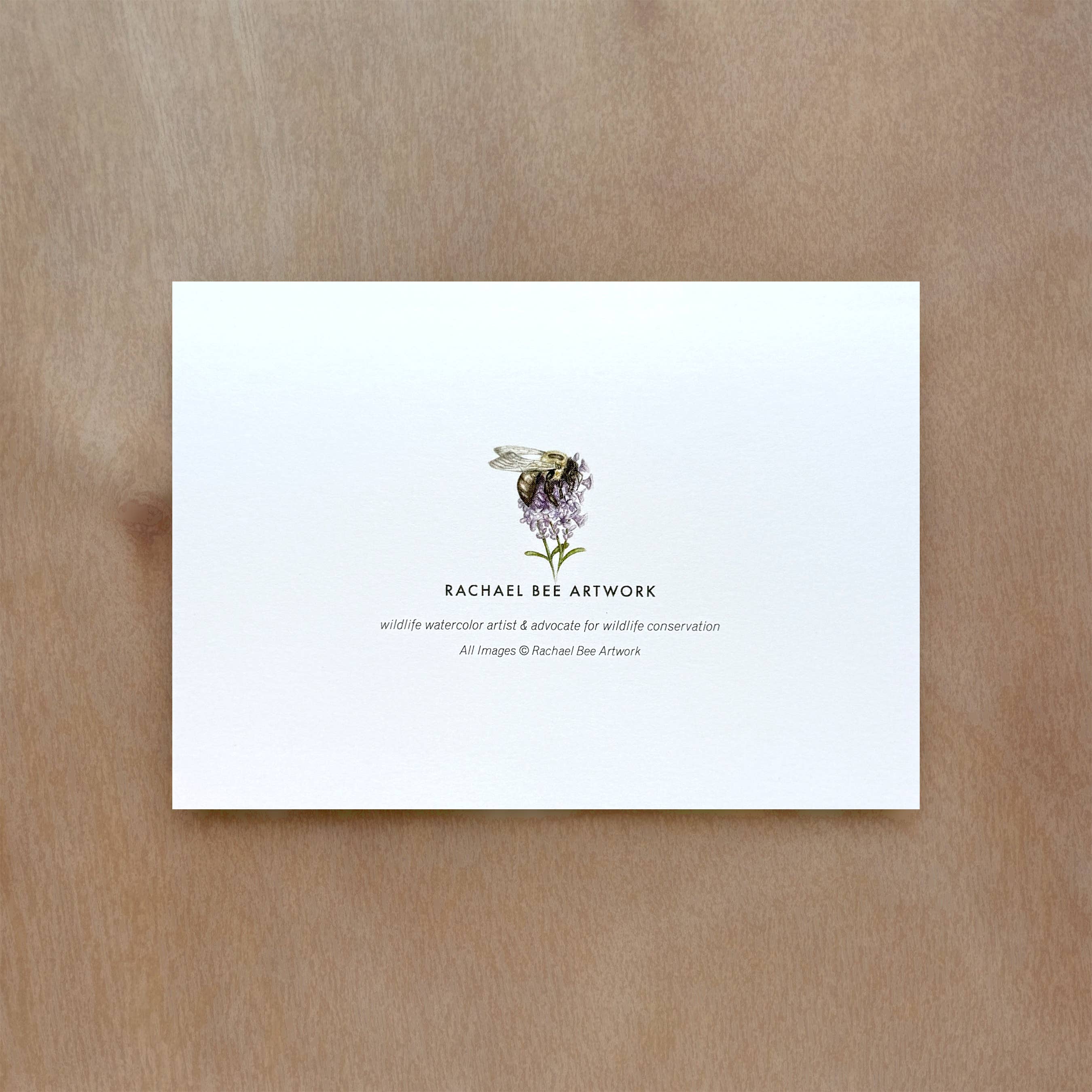 Rachael Bee Artwork - Wholesale Everyday Greeting Card - Monarch Butterfly Greeting Card2