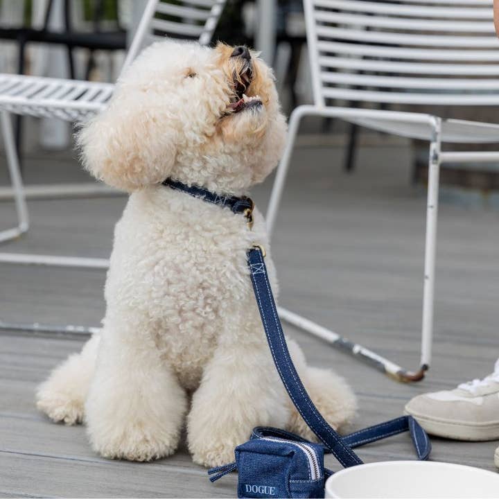 DOGUE Denim Hundkoppel för wholesale av DOGUE