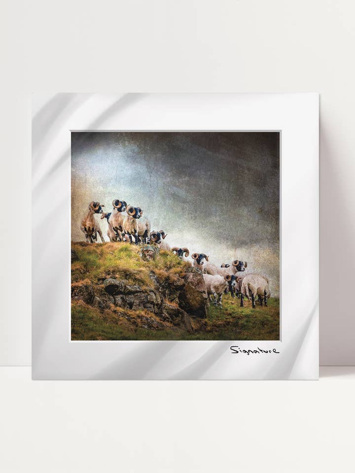 Carnero con Vista para venta al por mayor de Ecosse Encaustics Cards