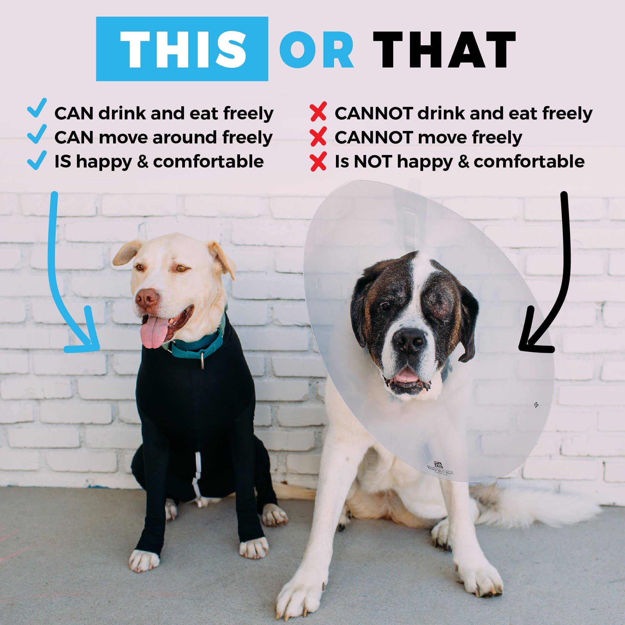 Shed Defender - Wholesale Pet Bodysuit - Cat/Dog - Shed Defender® Sport Dog Onesie - Shedding Bodysuit7