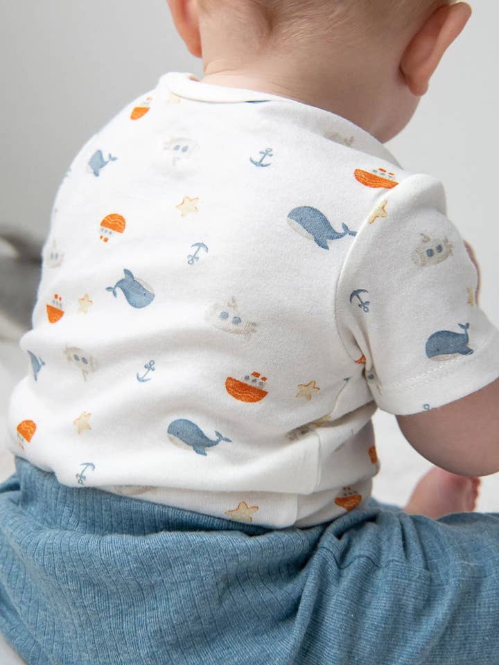 Lūmmi in Colour Babywear - Wholesale Bodysuit (Non-Footed) - Baby - Organic Cotton Baby Short Sleeve Bodysuit - Sea3