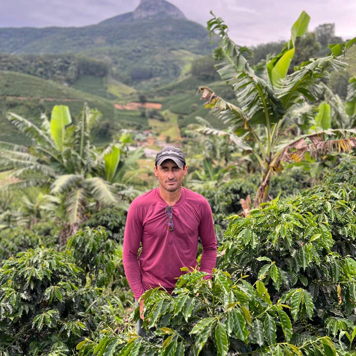 The Studio Coffee. - Wholesale Coffee Beans - BRAZIL - Sartori1