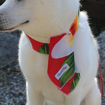 Cooling Neck Tie or Headband for Dogs and People - Red for wholesale by Louie de Coton