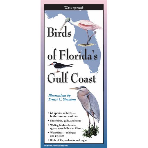 Birds of Florida's Gulf Coast for wholesale by Earth Sky + Water