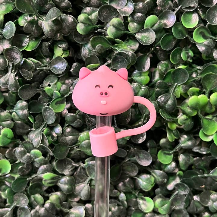 Briano Wholesale - Wholesale Drinking Straw - Other Large Straw Toppers9