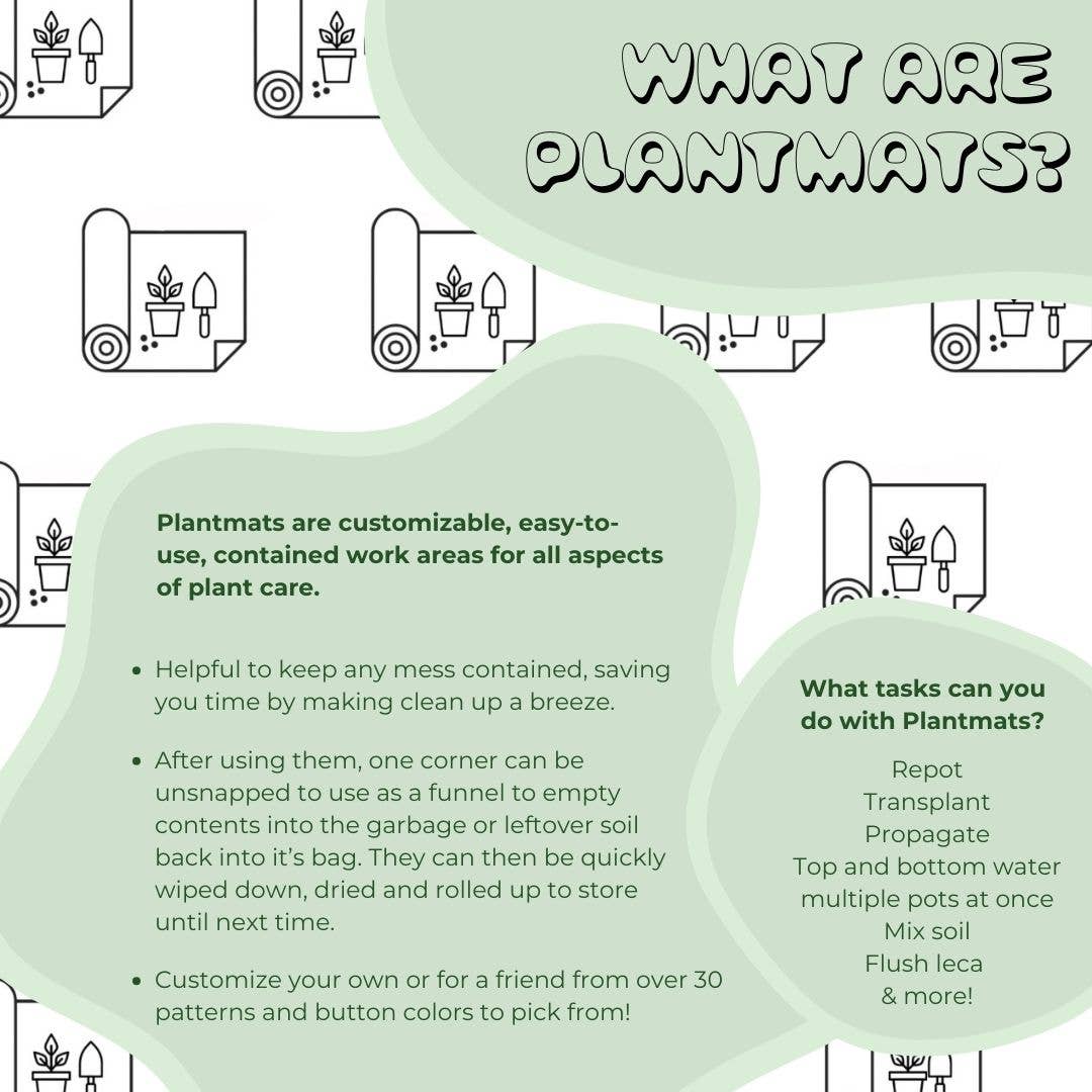 Plantmats - Wholesale DIY Craft Kit - Wish Me 'Leca' Starter Kit9