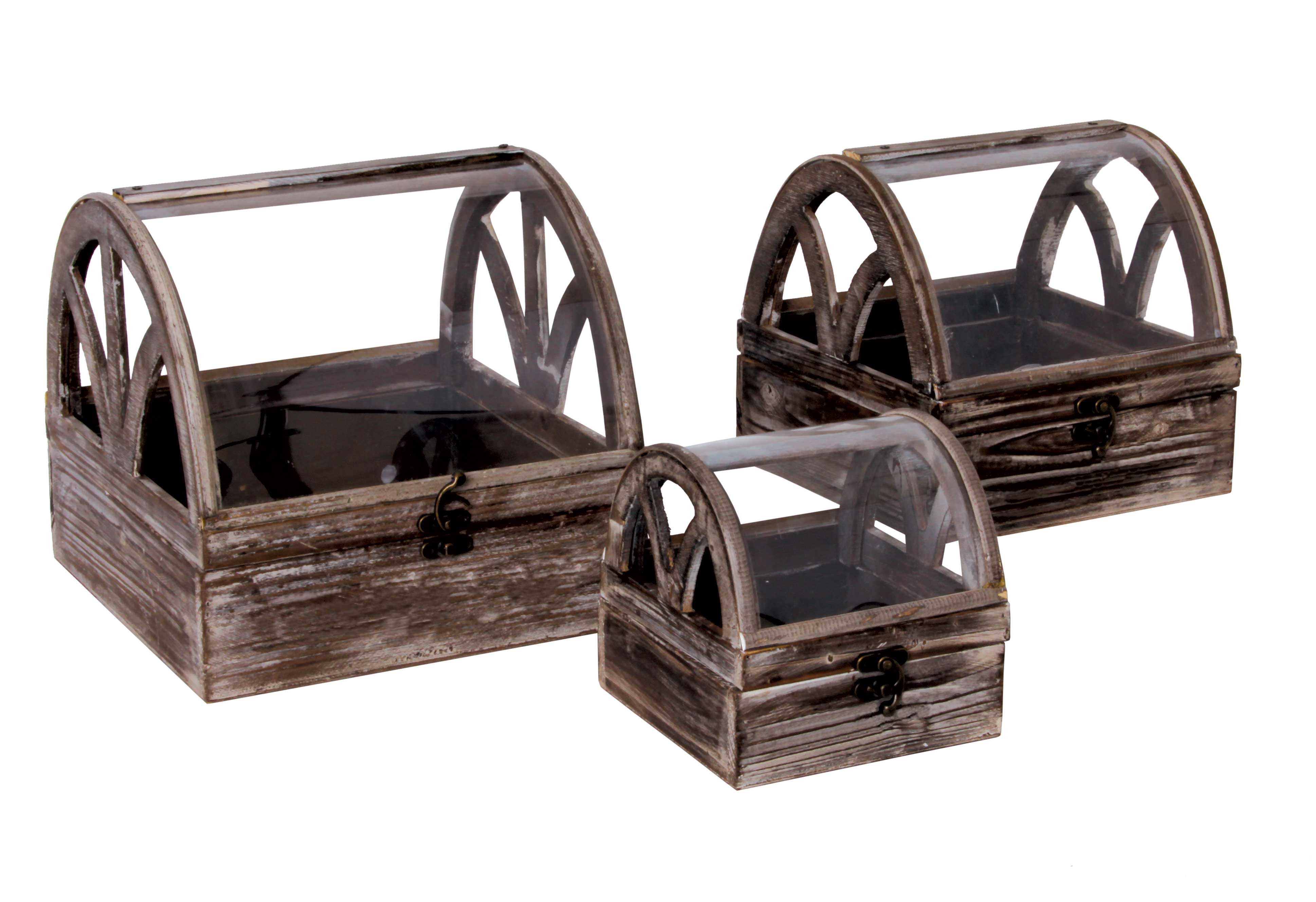 Braun - Wholesale Terrarium - Domed Terrarium Set