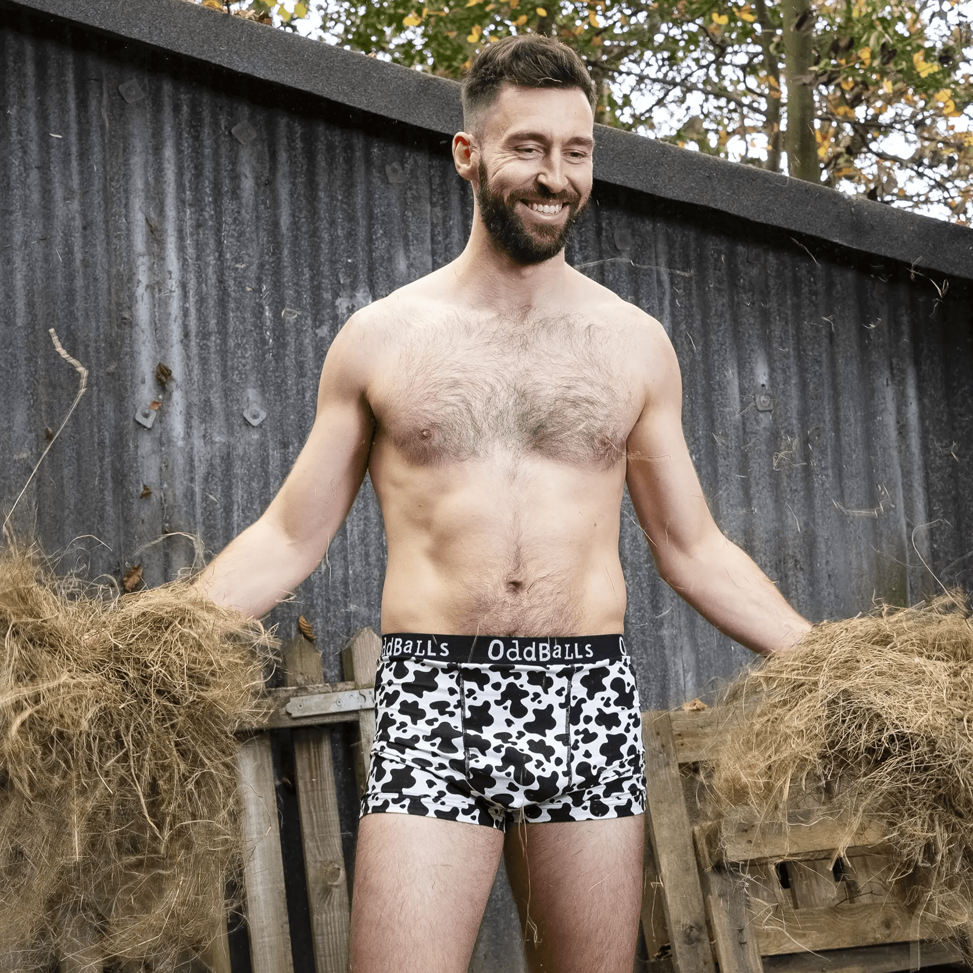 OddBalls – wholesale Underwear – Men's – Fat Cow - Mens Cotton Boxer Shorts4