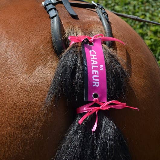 HippiCode® Carnations IN HEAT for wholesale by AniCode