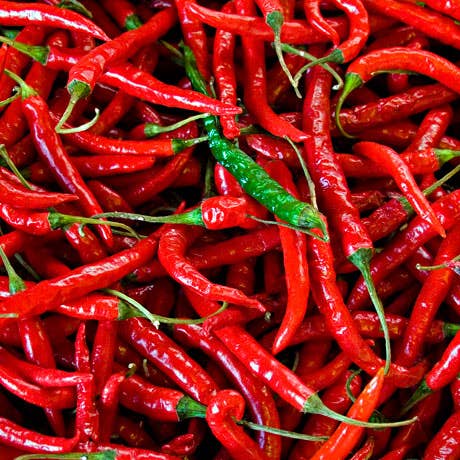 Golden West Specialty Foods - Wholesale Hot Sauce - Chef Michael's Ruin Your Day Hot Sauce - 5 oz4