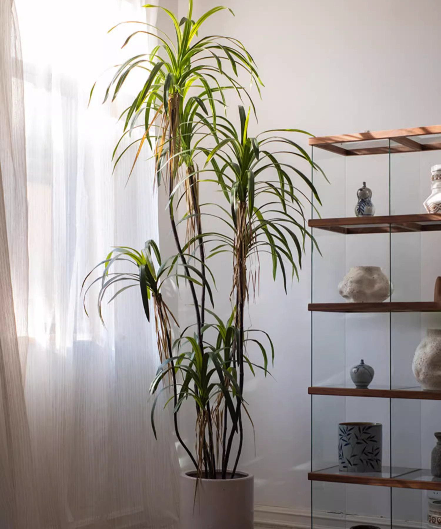 Rustic Reach - Wholesale Artificial Plant - Artificial Dracaena Tree7