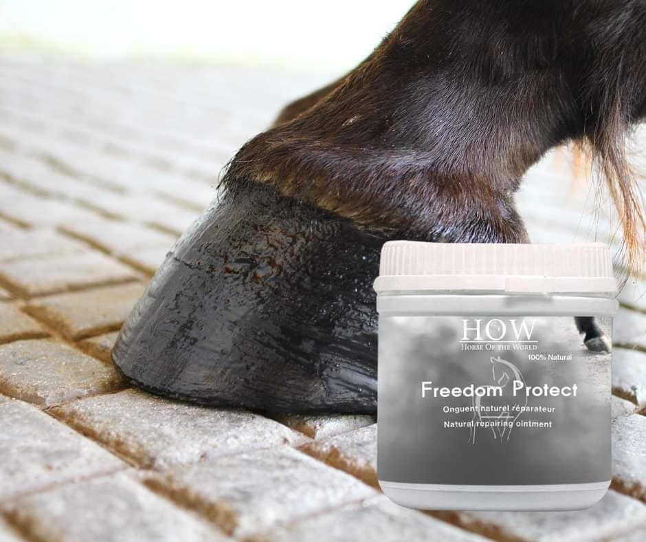 Horse of the world - Wholesale Horse Conditioner/Grooming Aid - Liberté Protège Graisse1